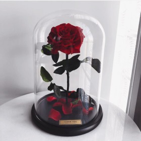 Everlasting Rose