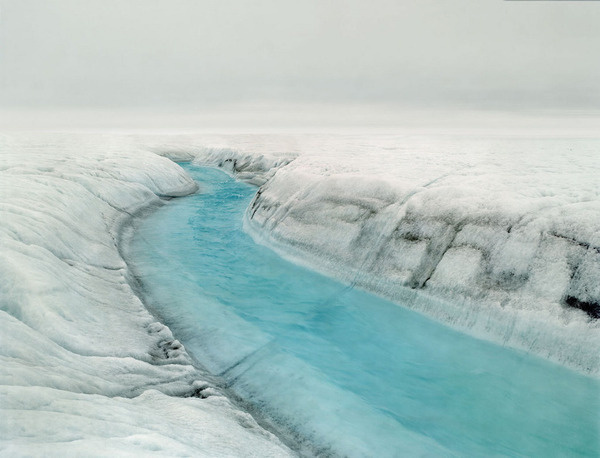 but does it float #white #blue #water #ice #iceberg