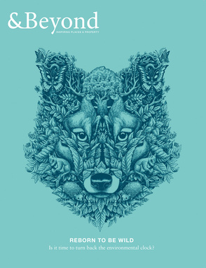 Hand drawn Illustration by Iain Macarthur #handdrawn #illustration