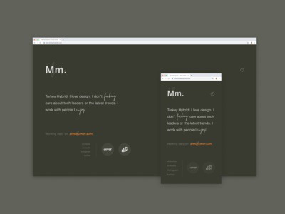 Portfolio Redirect Site.
