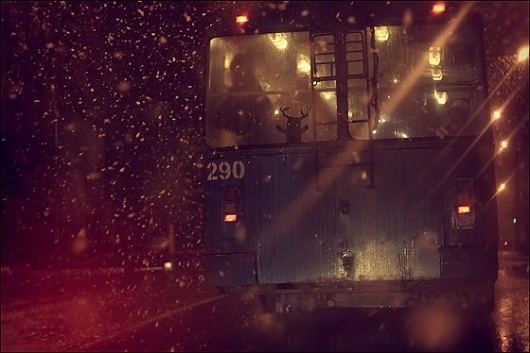 I was never Elvis » Every Reason to Panic #photography
