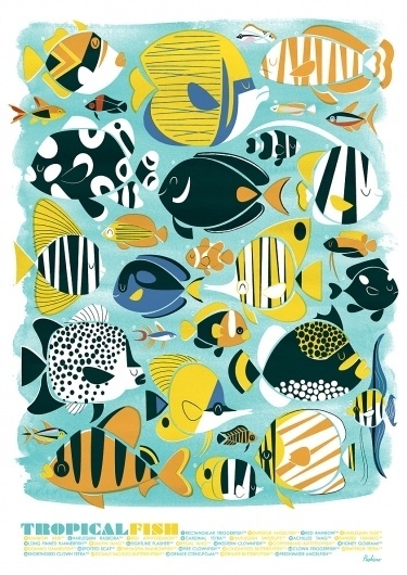 tumblr_lwk0221dMz1qbiglgo1_1280.jpg 842×1,190 pixels #tropical #fish #retro #illustration #poster #peskimo