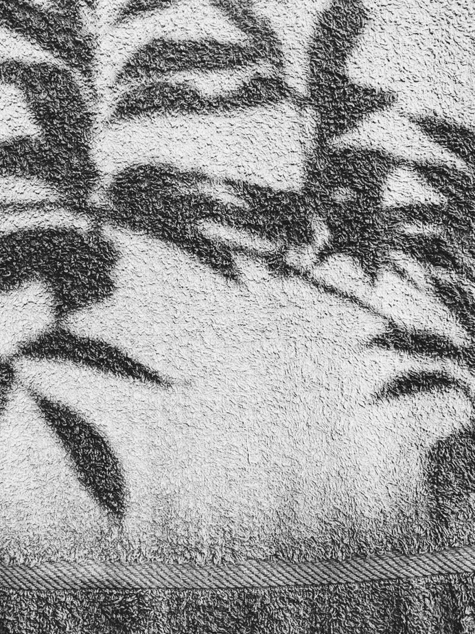 #terrytowel #clothesline #plants