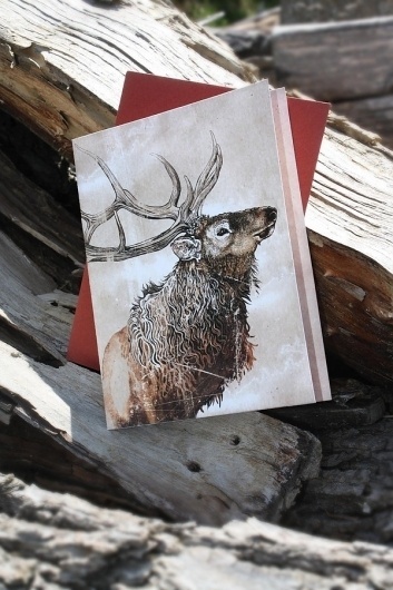 Snail's Pace Elk Illustration - Note Card #pace #elk #snais #stationery #paper