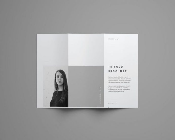 Tri Fold Brochure Mockup