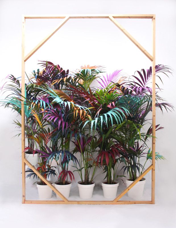 AnaBeltra | artist, painter, graphic, pattern and interior designer