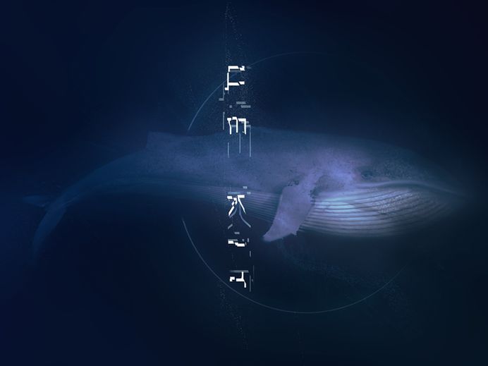 Ce Whale illustration
