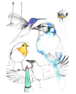 Birds in Birds