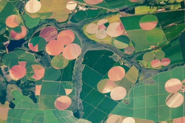 Strangely "Digital" Agricultural Landscapes Seen From Space
