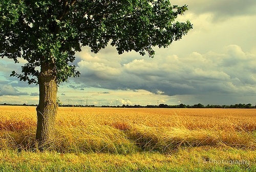 Open Eye Photography Blog: Friederike Alexander Photography #photography
