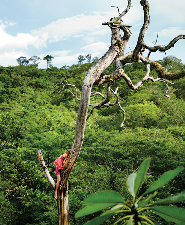A Delicate Balance Interactive Feature T Magazine #fashion #photography #ryan #mcginley
