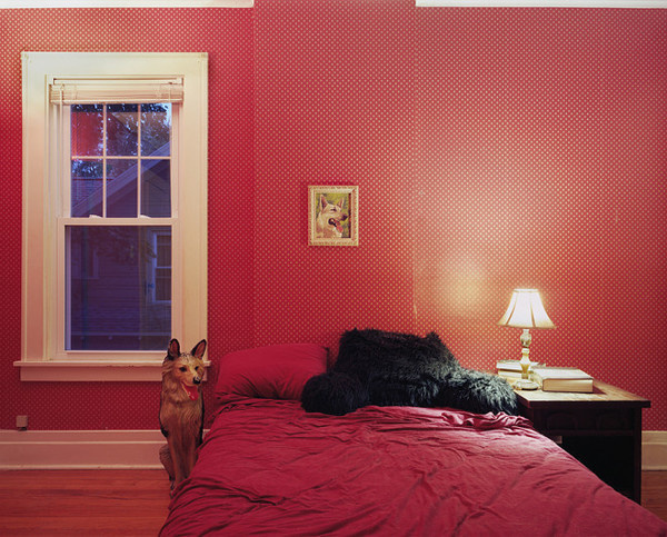 Untitled Interior (german shepherds), 2011 #interior #photography #inspiration