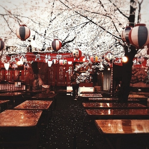 Xote #japan