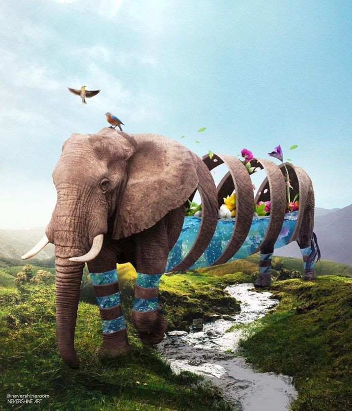 Dreamlike Animals: Mischievous Photo Manipulations by Ade Maolana