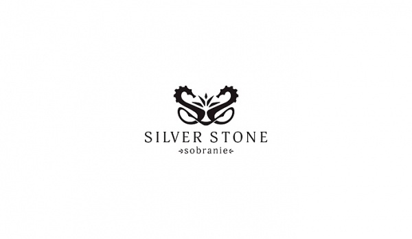 SILVER STONE - Разработка логотипа и фирменного стиля для магазина одежды премиум-класс #logotype #stone #silver #pulsive #logo