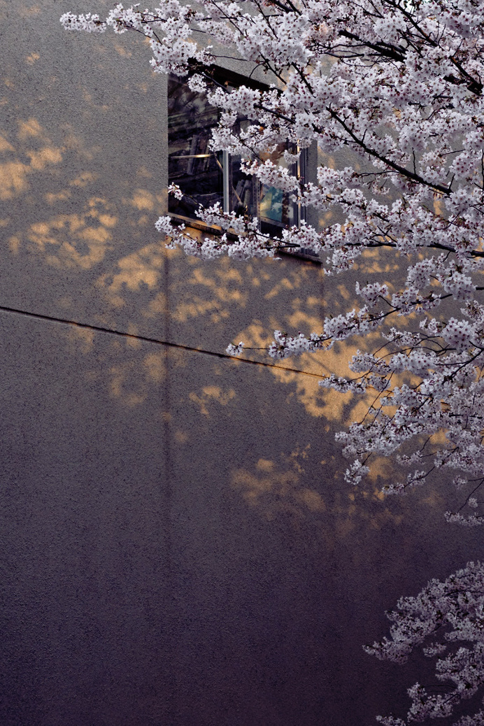 Photographer: Fabrizio Raschetti