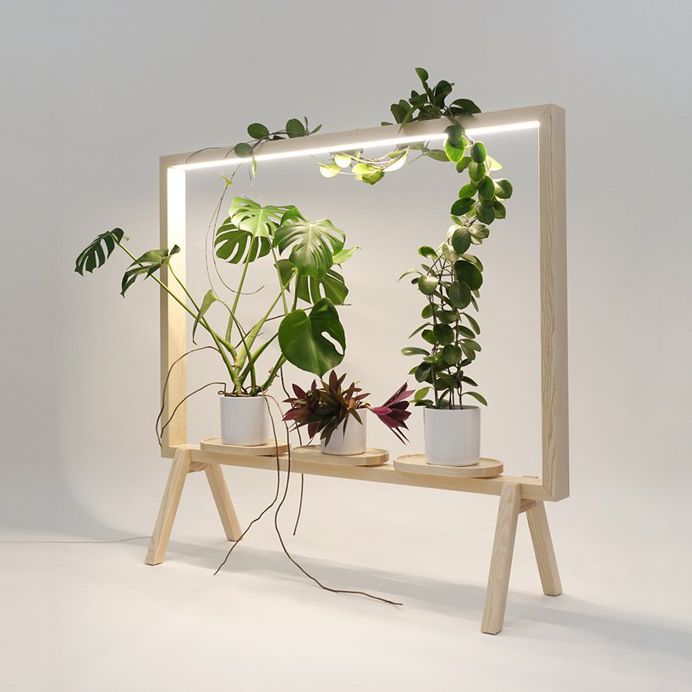 johan kauppi launches illuminated frame for potted plants at stockholm furniture fair 2018