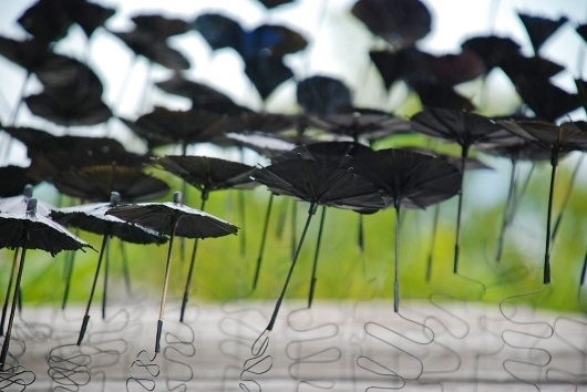 rain : orient #umbrella #installation #fellerer #photography #art #marge