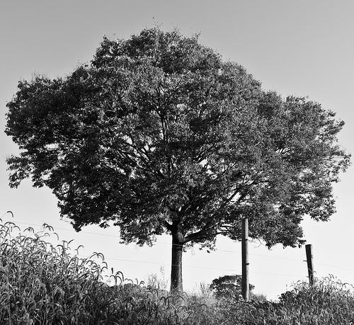 Black and White Photography by Andrew Atkinson | Professional Photography Blog #photography #white #black #and