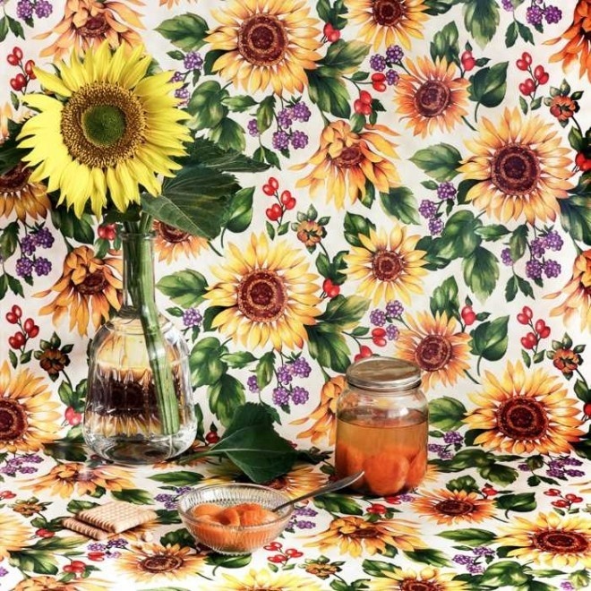 Associated Nostalgia by Eugenia Maximova #inspiration #photography #still #life