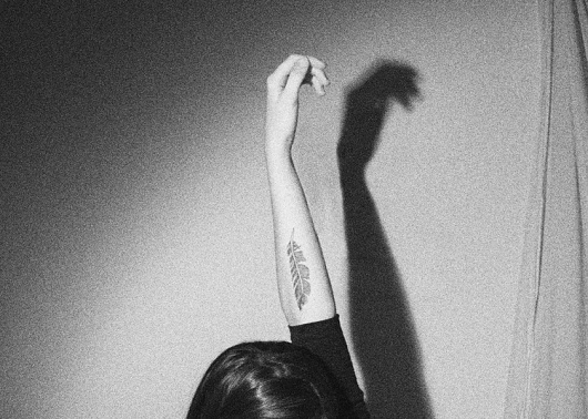 Isabelle Laydier #isabelle #white #feather #black #photography #laydier #and #arm