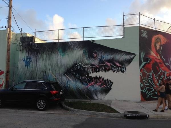 More r/Graffiti #graffiti #toof #shark