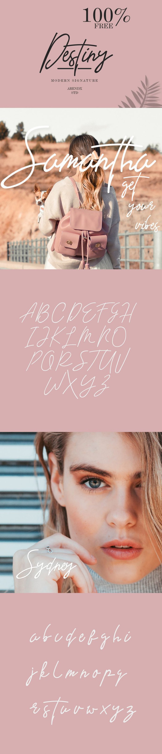 Free Destiny Modern Signature Font