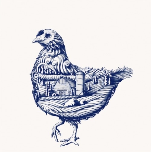 Blue Goose Pure Foods #illustration #branding