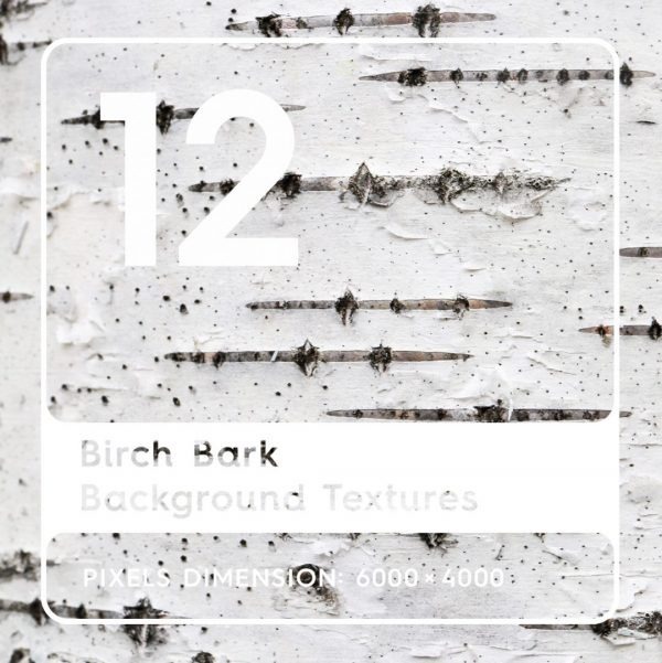 12 Birch Bark Texture Backgrounds #birch #birchbark #textures #wood