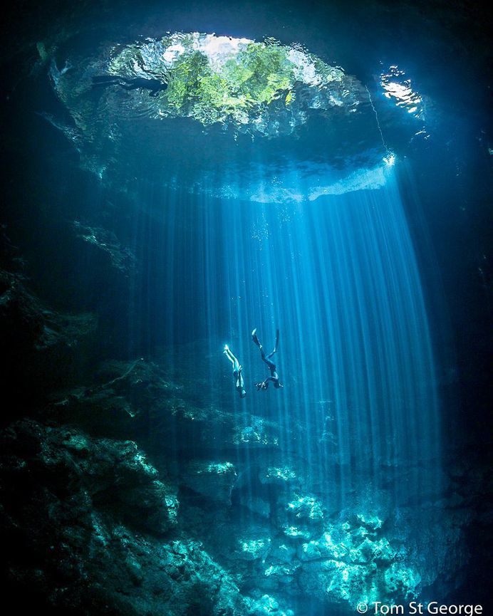 Incredible Underwater Photography by Tom St George