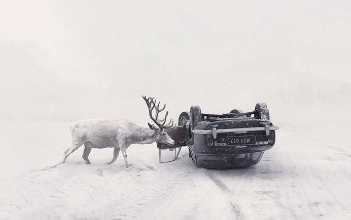 Martin Stranka, Czech Republic National Award