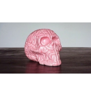 Skull Brain 'PINK' by Emilio Garcia #porcelain #brain #excellence #luxe #skull
