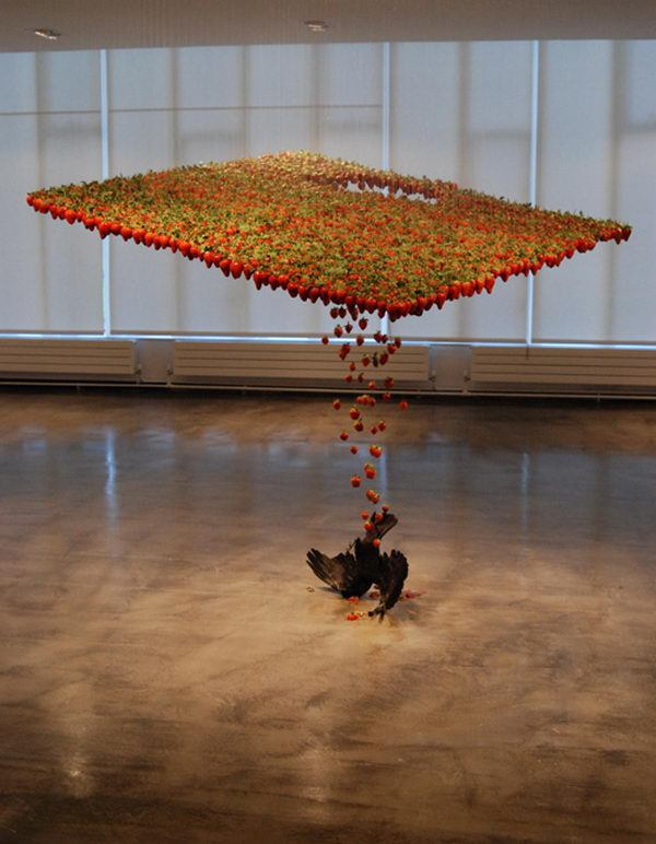 Fluid Art Installation, Created with strawberries, taxidermied crow, fishing hooks, nylon, and was exhibited at Building With Colour, Galler #art #installation