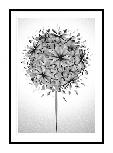 Kai and Sunny | Stolen Space gallery - London - 2011 - The Flower Show #art #drawing #kai and sunny