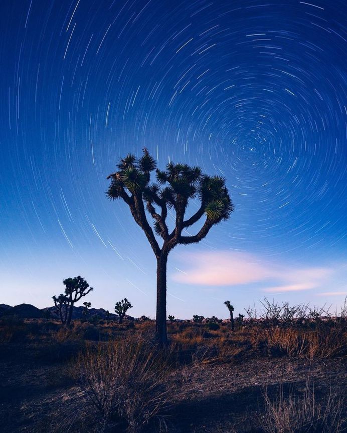 Spectacular Action and Adventure Photography by Stan Moniz