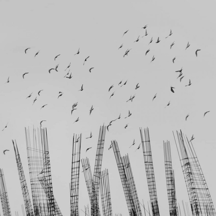 Minimalist Black and White Landscape Photography by Mostafa Nodeh