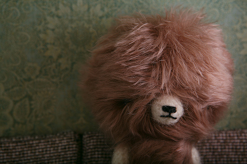 Leopold the Great #bear #toy