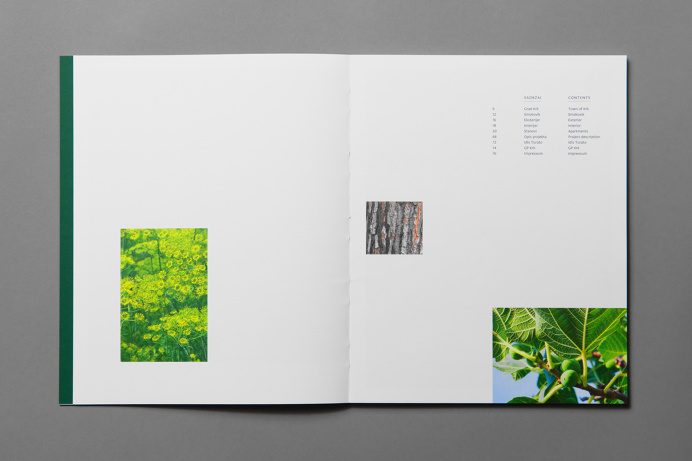 layout, editorial, magazine, publication