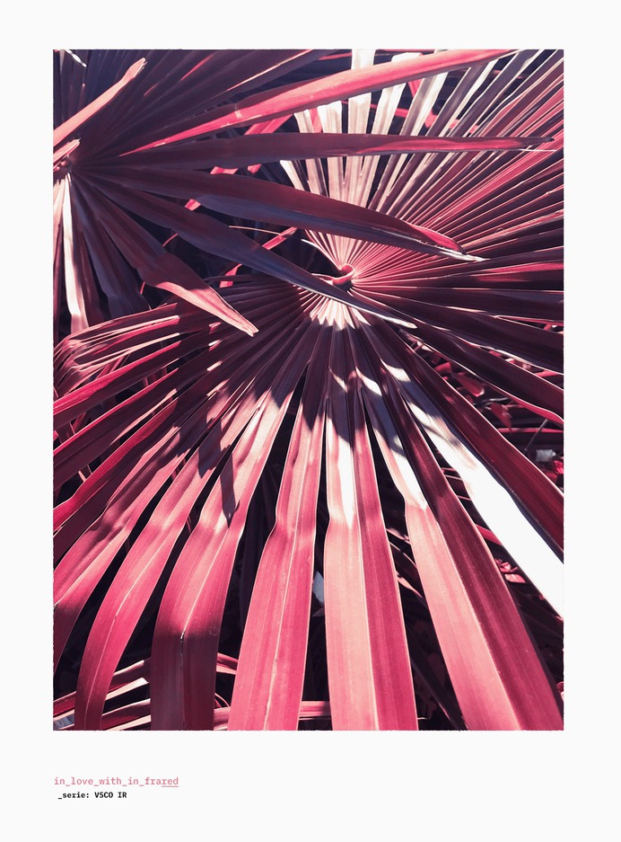 in_love_with_in_frared
©
[ catrin mackowski ]