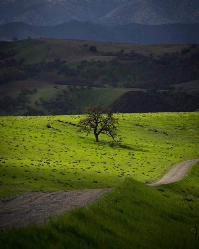 Wonderful Landscapes in California by Kenny Mullen