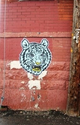 denver16.jpg (JPEG Image, 255x400 pixels) #paste #scot #denver #colorado #lefavor #street #lefavour #tiger #wheat