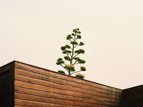 Photography by Daniel Seung Lee | Professional Photography Blog #inspiration #photography