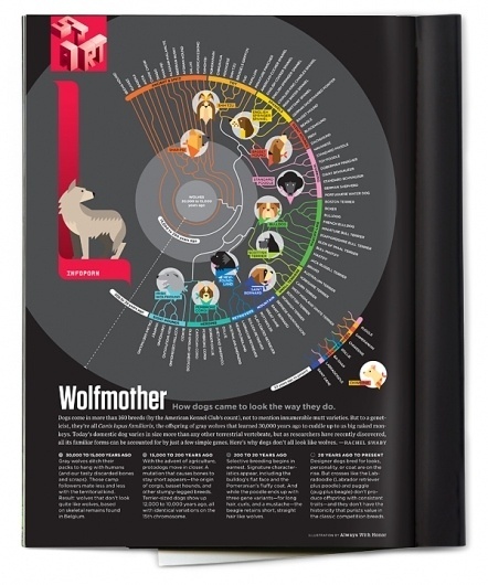 always with honor #infographics #illustration #design #graphic