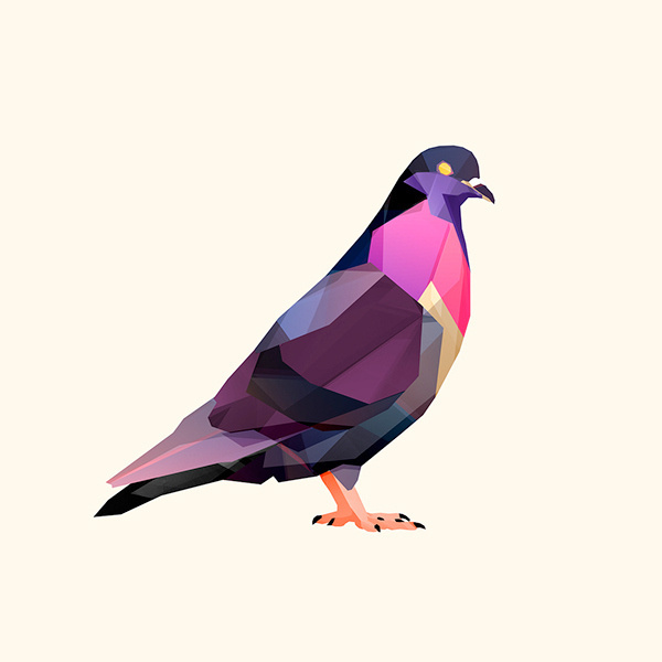 Beasts II on Behance #illustration #pigeon #bird