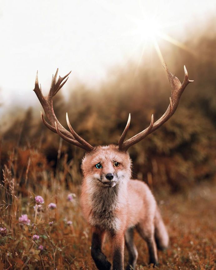 Dreamlike and Surreal Photo Manipulations by Septian Bayu Abdullah