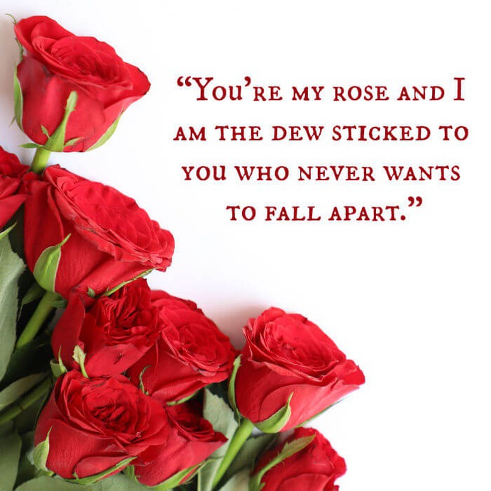 Happy Rose Day 2020 quotes