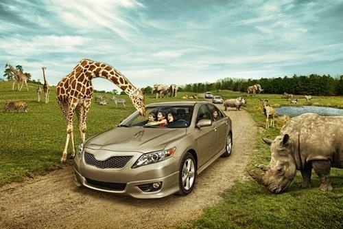 Creative Photography by Pete Barrett | Professional Photography Blog #inspiration #creative #photography