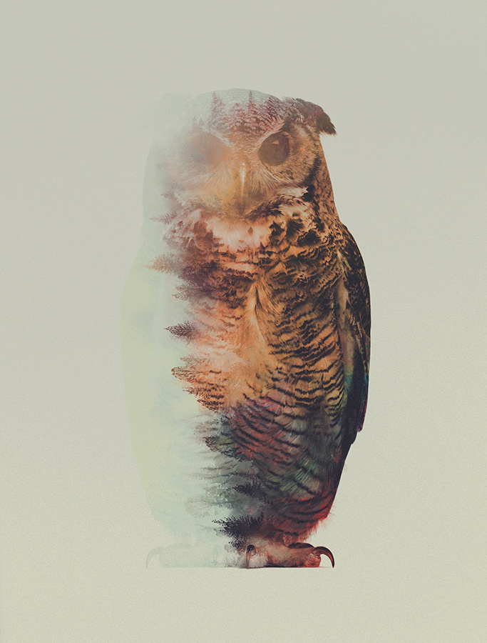 The Animal Kingdom