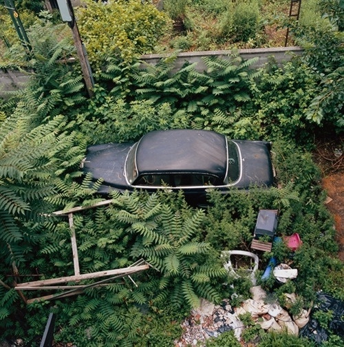 tumblr_lcsygcJyYR1qzw9h4o1_500.jpg (Immagine JPEG, 500x504 pixel) #car