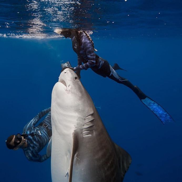 Incredible Underwater Photography by Juan Oliphant